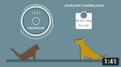 Haut- und Fellgesundheit